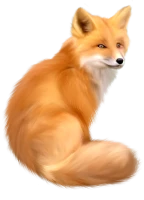 WEBP