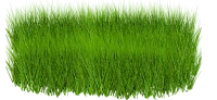 WEBP