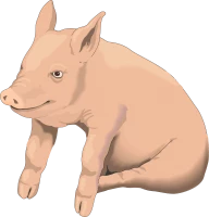WEBP
