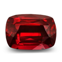 WEBP