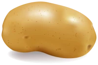 WEBP