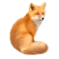 WEBP