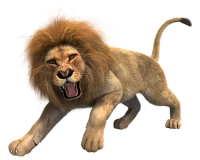 WEBP
