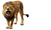 WEBP