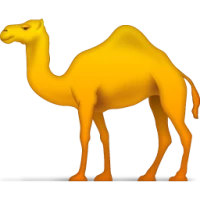 WEBP