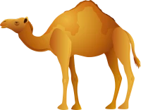 WEBP
