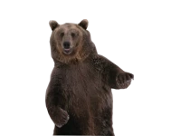 WEBP