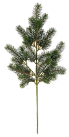 WEBP