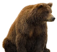 WEBP