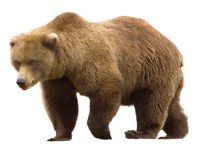 WEBP