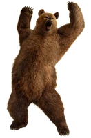 WEBP