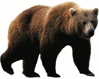 WEBP