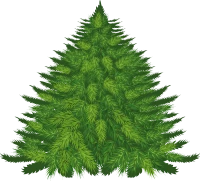 WEBP
