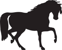 WEBP