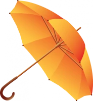 WEBP