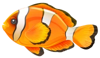 WEBP