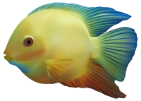 WEBP