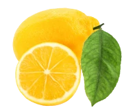 WEBP