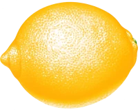 WEBP