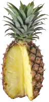WEBP