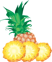 WEBP