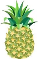 WEBP