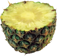 WEBP