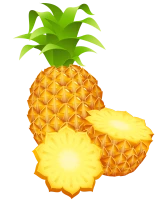 WEBP