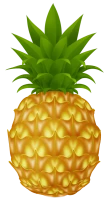 WEBP