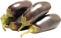 WEBP