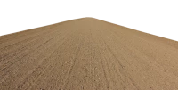 WEBP
