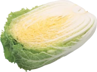 WEBP