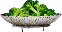 WEBP