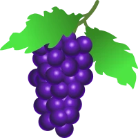WEBP