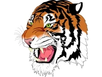 WEBP