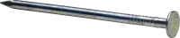 WEBP