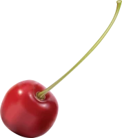WEBP
