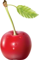 WEBP