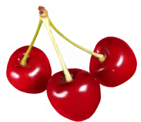 WEBP