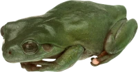 WEBP