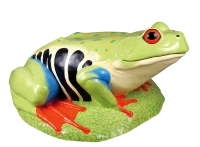 WEBP