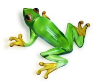 WEBP