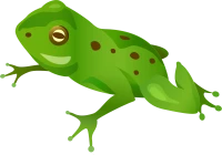 WEBP
