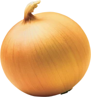 WEBP