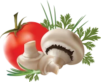 WEBP