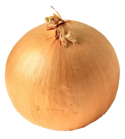 WEBP