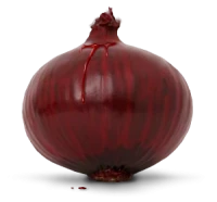 WEBP