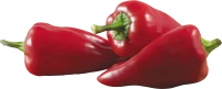 WEBP