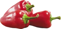 WEBP
