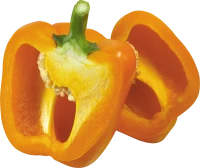 WEBP